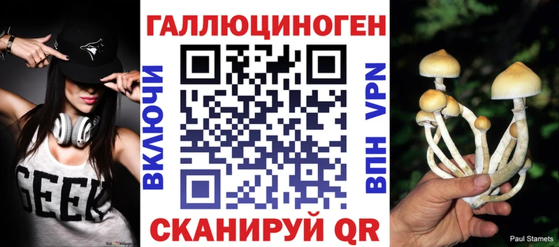 Псилоцибиновые грибы GOLDEN TEACHER  где можно купить   Пошехонье 
