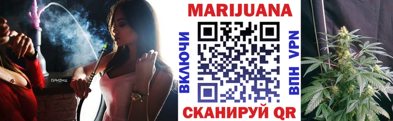 Бошки марихуана THC 21%  Пошехонье 